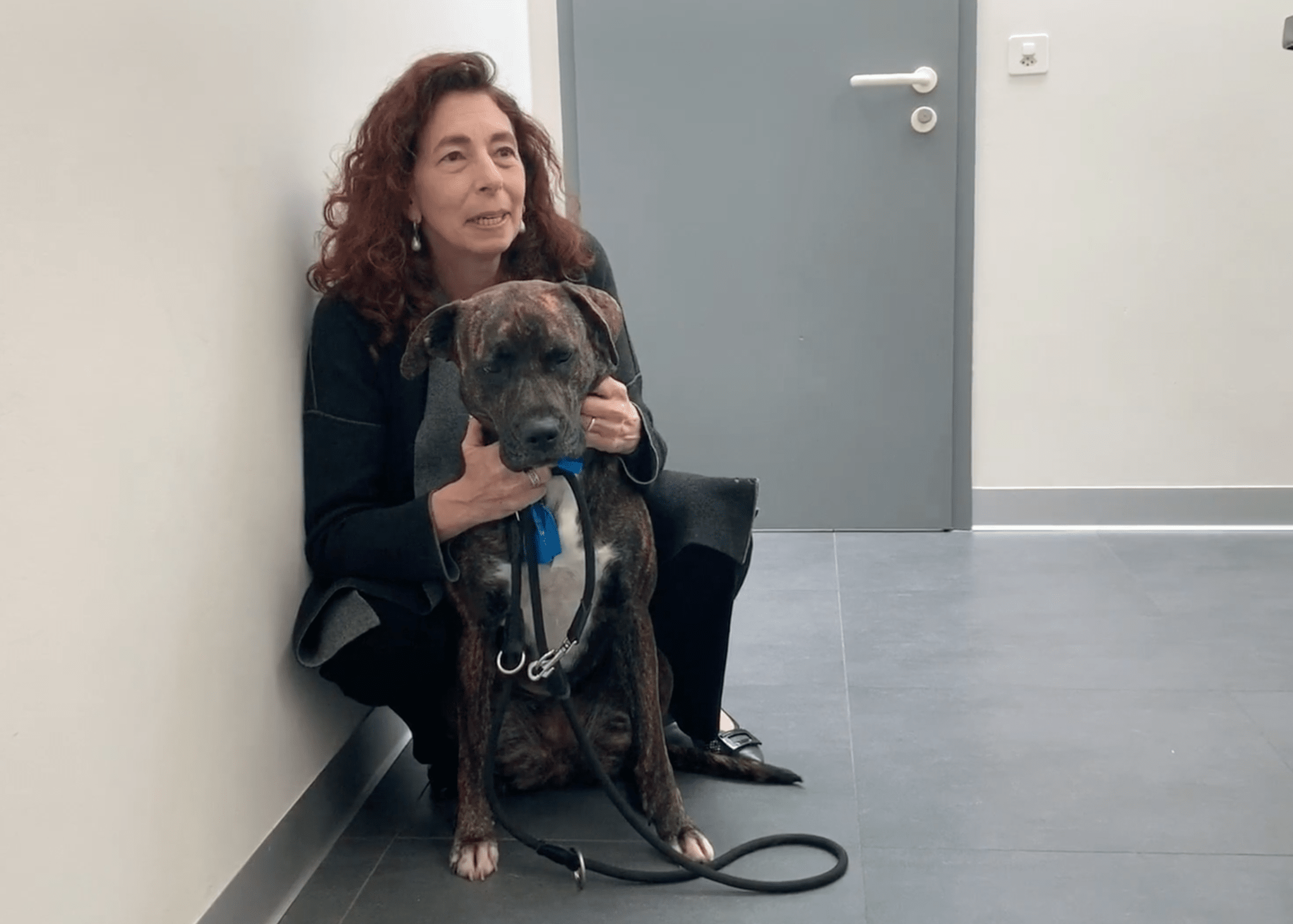  Cabinet Vétérinaire International,Nyon Veterinarian, veterinarian Nyon