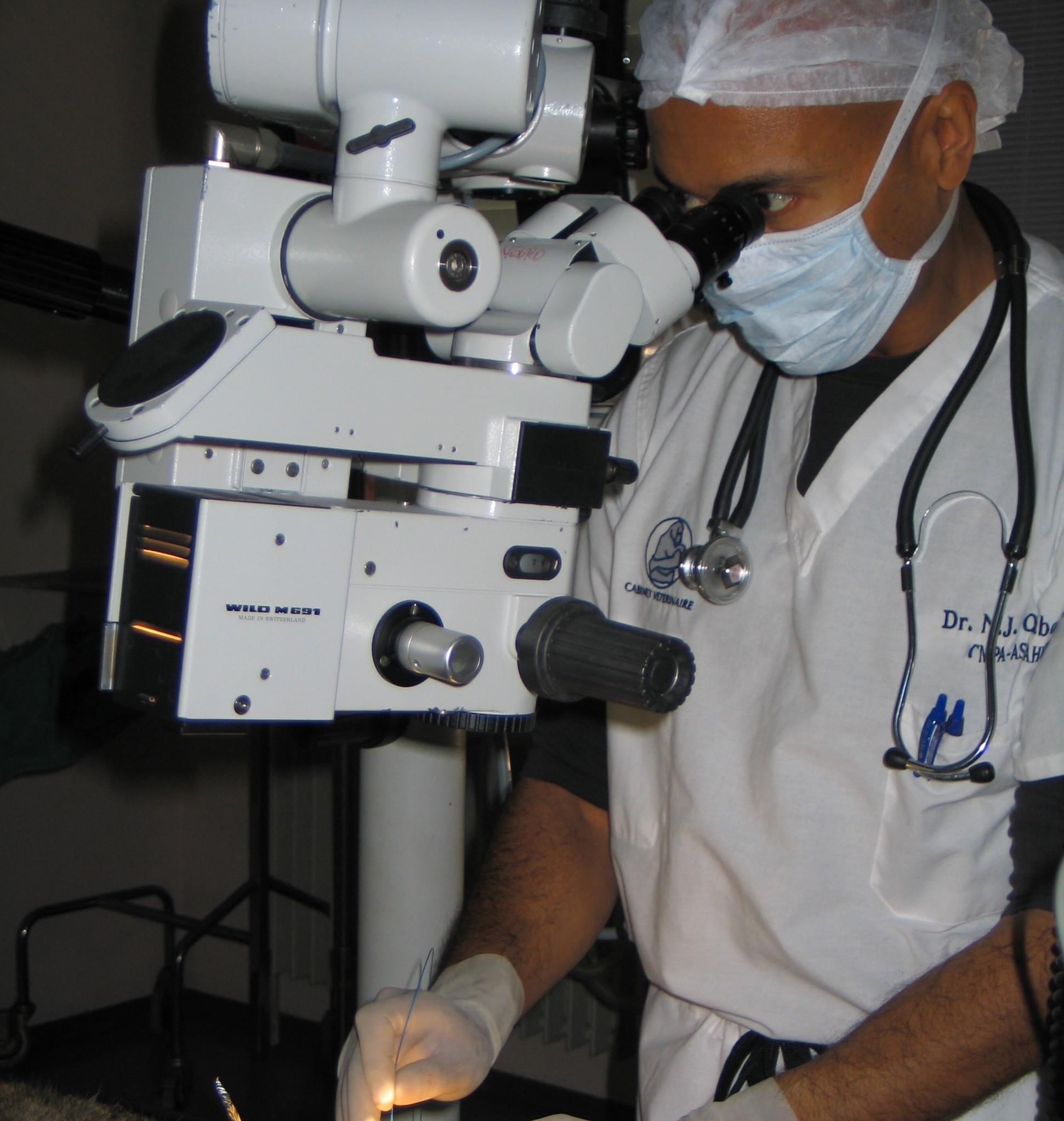  Cabinet Vétérinaire International,Nyon Veterinarian, veterinarian Nyon