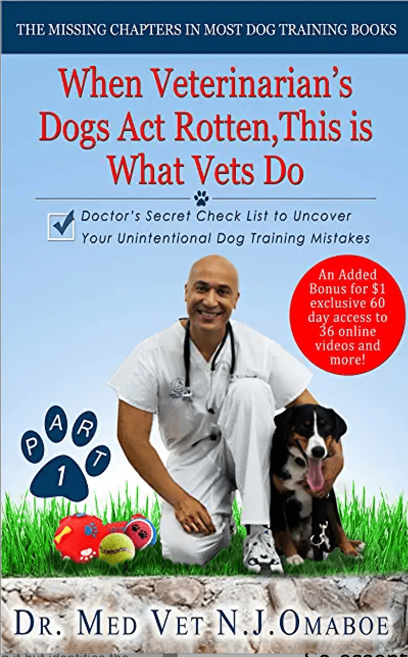  Cabinet Vétérinaire International,Nyon Veterinarian, veterinarian Nyon
