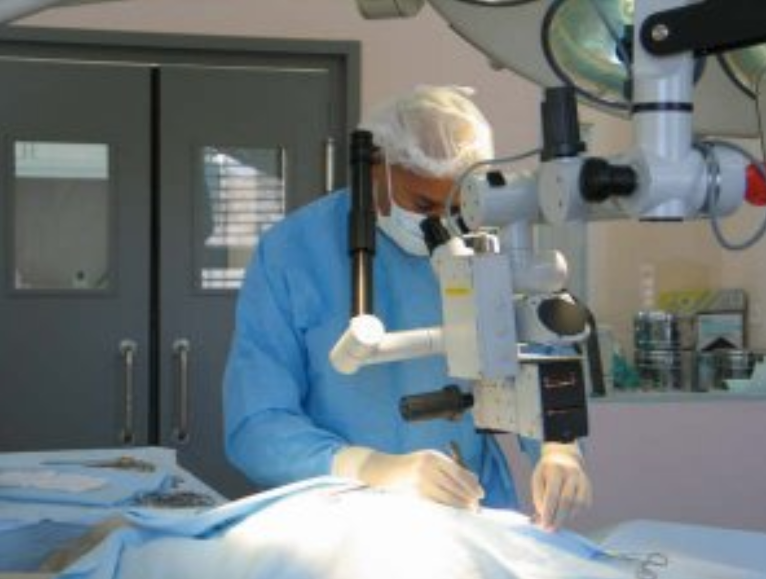  Cabinet Vétérinaire International,Nyon Veterinarian, veterinarian Nyon