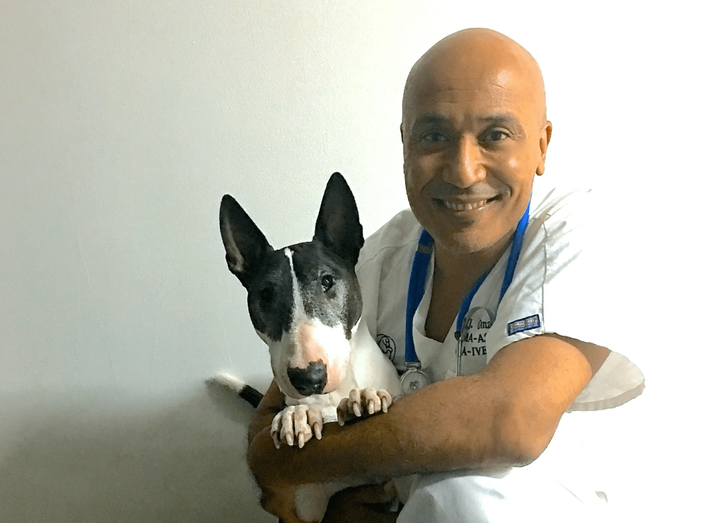  Cabinet Vétérinaire International,Nyon Veterinarian, veterinarian Nyon